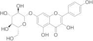 Kaempferol-7-O-Beta-D-glucoside