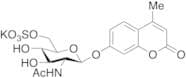 4-Methylumbelliferyl 6-Sulfo-2-acetamido-2-deoxy-b-D-glucopyranoside Potassium Salt