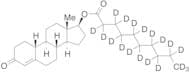 Nandrolone Decanoate-d19