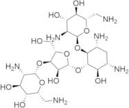 Neomycin B Hexaacetate