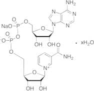 b-Nicotinamide Adenine Dinucleotide Sodium Salt Hydrate