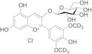 Oenin-d6 Chloride