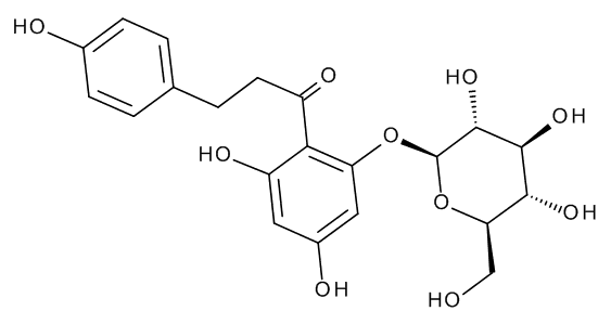 Phloridzin