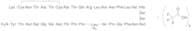 Pramlintide-d3 Trifluoroacetate