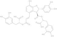 Salvianolic Acid B