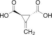 3-Methylenecyclopropane-trans-1,2-dicarboxylic Acid