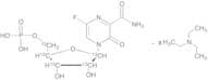 T-705RMP-13C5 TEA Salt