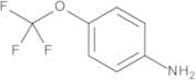 4-(Trifluoromethoxy)aniline