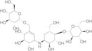 Validamycin C