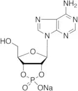 Adenosine-2’,3’-cyclic Monophosphate Sodium Salt