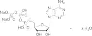 Adenosine 5'-Triphosphate Disodium Salt