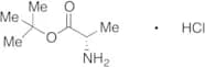 L-Alanine tert-Butyl Ester Hydrochloride