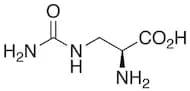 L-Albizziin
