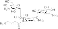 Amikacin