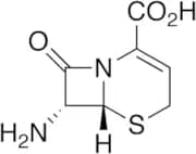 7-Amino-3-cephem-4-carboxylic Acid