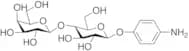 p-Aminophenyl b-D-Lactopyranoside