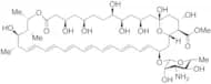 Amphotericin B Methyl Ester 90%