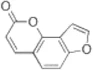 Angelicin