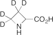 D,L-Azetidine-2-carboxylic Acid-d4