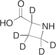 D,L-Azetidine-2-carboxylic Acid-d5