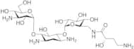 BB-K 6 Sulfate Salt