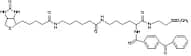 2-[NAlpha-Benzoylbenzoicamido-N6-(6-biotinamidocaproyl)-L-lysinylamido]ethyl Methanethiosulfonate
