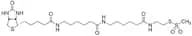N-Biotinylcaproylaminocaproylaminoethyl Methanethiosulfonate