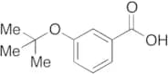 3-tert-Butoxybenzoic Acid