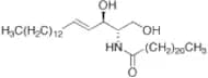 C22 Ceramide