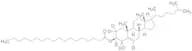 Cholesteryl-2,2,3,4,4,6-d6 Octadecanoate