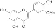 Chrysoeriol (>90%)
