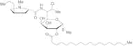 Clindamycin Stearate