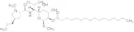 Clindamycin Palmitate