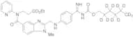 Dabigatran Etexilate-d11