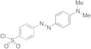 Dabsyl Chloride