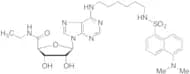 Dansylhexyl NECA
