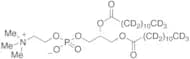 L-alpha-Dilauroyl Phosphatidylcholine-d46