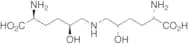(5S,5’S)-Dihydroxy Lysinonorleucine
