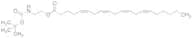 (5Z,8Z,11Z,14Z)-5,8,11,14-Eicosatetraenoic Acid 2-[[(1,1-Dimethylethoxy)carbonyl]amino]ethyl Ester