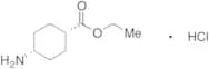 Ethyl cis-4-Aminocyclohexanecarboxylate Hydrochloride