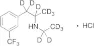 rac-Fenfluramine-D11 Hydrochloride