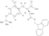 N-Fmoc-(13C9,15N)-L-Tyrosine O-Tertbutyl Ether
