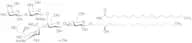 Ganglioside GM1 Sodium Salt (bovine brain)