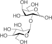 2-O-(Alpha-D-Glucopyranosyl)-D-galactose