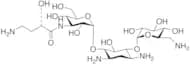 3’’-HABA Kanamycin A Sulfate