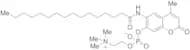 6-Hexadecanoylamino-4-methylumbelliferyl Phosphorylcholine