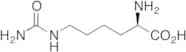 L-Homocitrulline