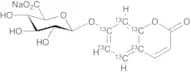 7-Hydroxy Coumarin-13C6 Beta-D-Glucuronide Sodium Salt