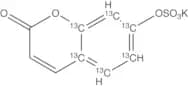 7-Hydroxy Coumarin-13C6 Sulfate Potassium Salt