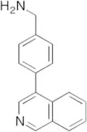 4-Isoquinolin-4-yl-benzylamine